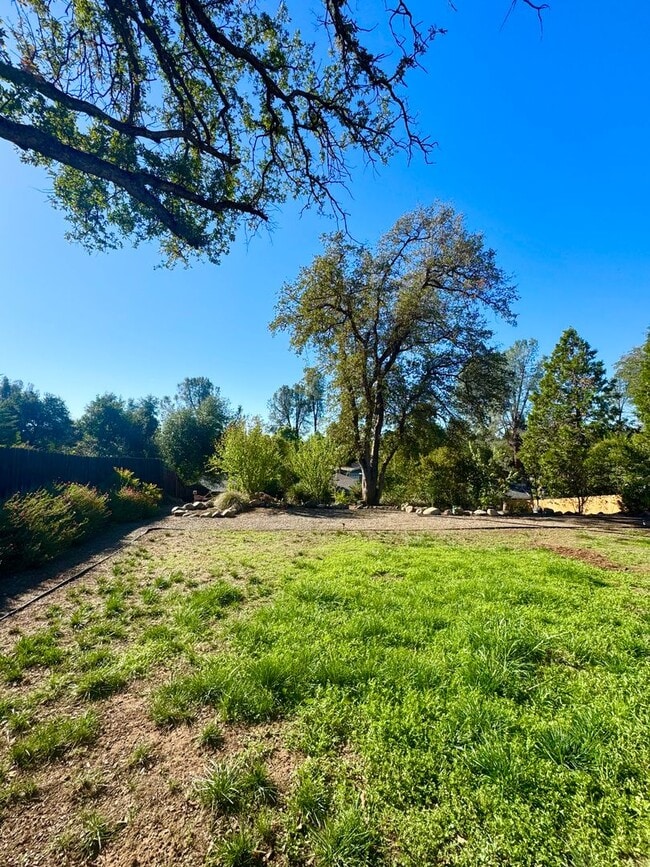 Building Photo - Beautiful home in Parkwood Estates