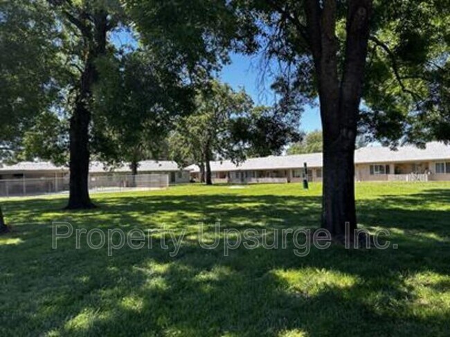 Building Photo - 3629 Bechelli Ln