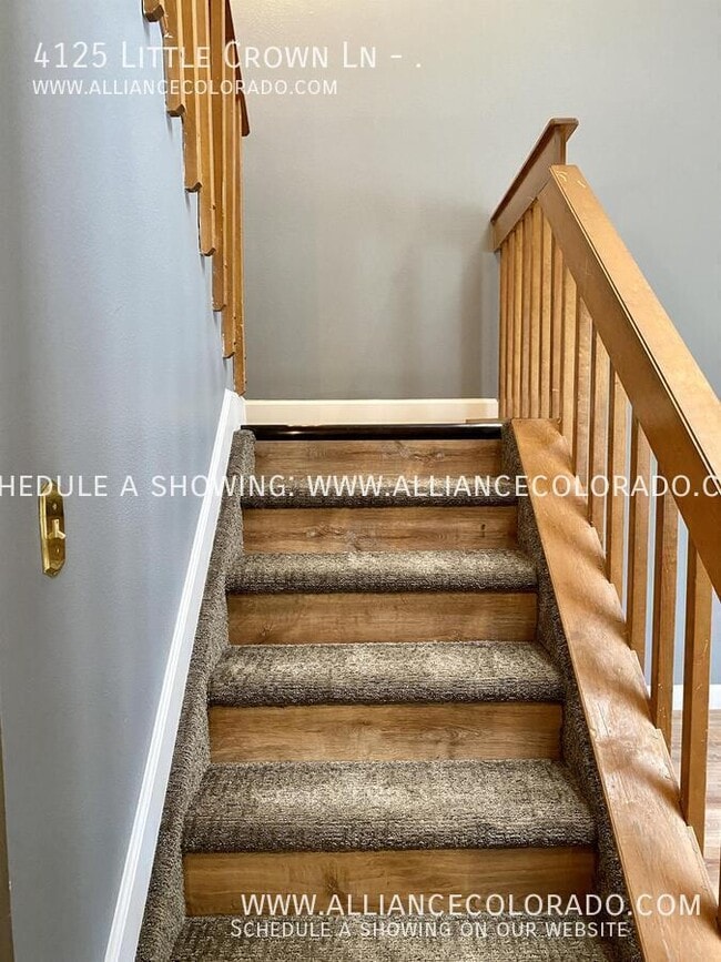 Building Photo - 4125 Little Crown Ln