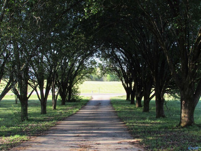 Building Photo - 27849 Pinedale Rd