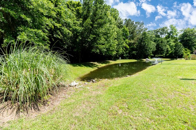 Building Photo - 4 Bedroom Home in Goose Creek