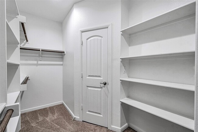 Building Photo - 3119 Mearns Ct