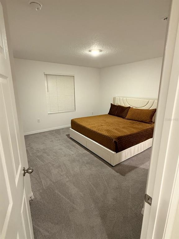 Building Photo - 1239 Sand Torch Cir