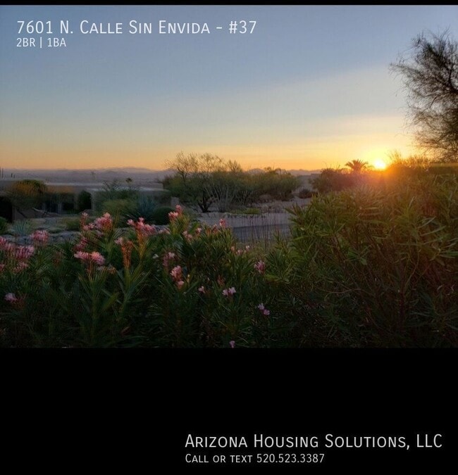 Building Photo - 7601 N Calle Sin Envidia