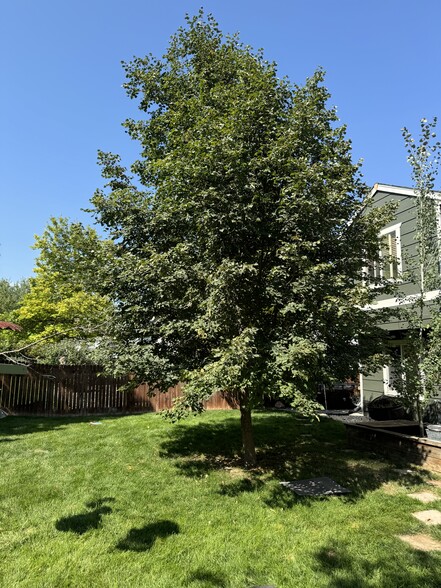 Shade Trees - 1311 Walden Ct