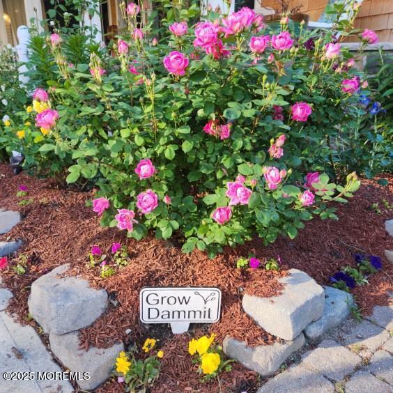 Building Photo - 504 Emory St