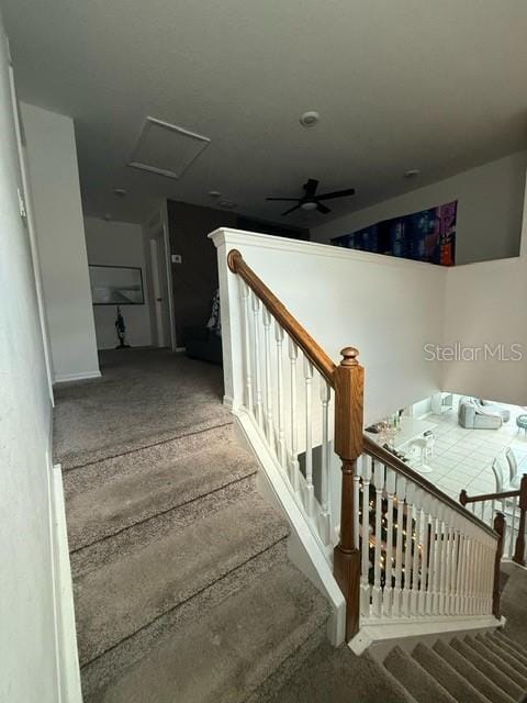 Building Photo - 845 Boca Vista Ct