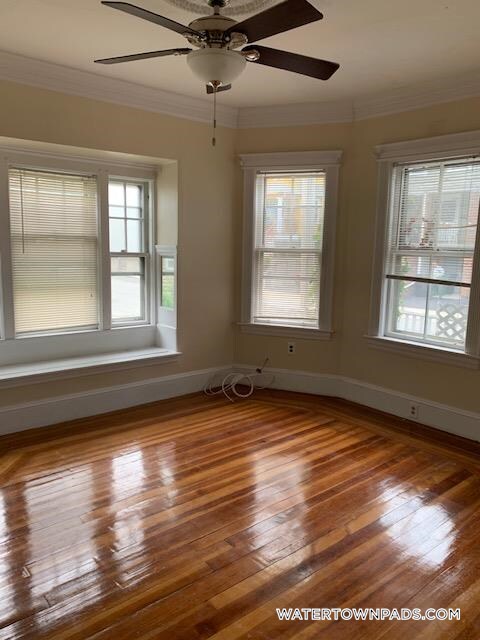 Building Photo - 65 Olcott St