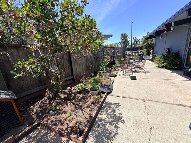 Building Photo - San Mateo 4Bed/2Ba Eichler Home with Putting Green, Vegetable Garden & Designer Finishes