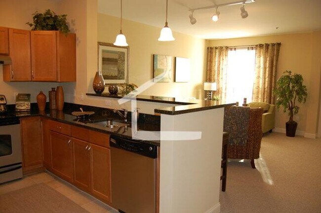 Building Photo - South Boston near Broadway MBTA 1BED / 1BA...