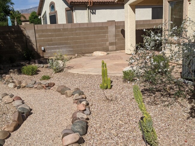 Back Yard - 2371 E Stone Stable Dr