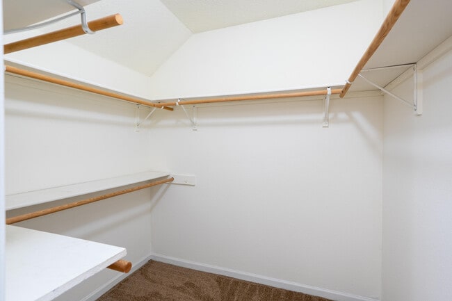Building Photo - 4303 Cheryl Ct