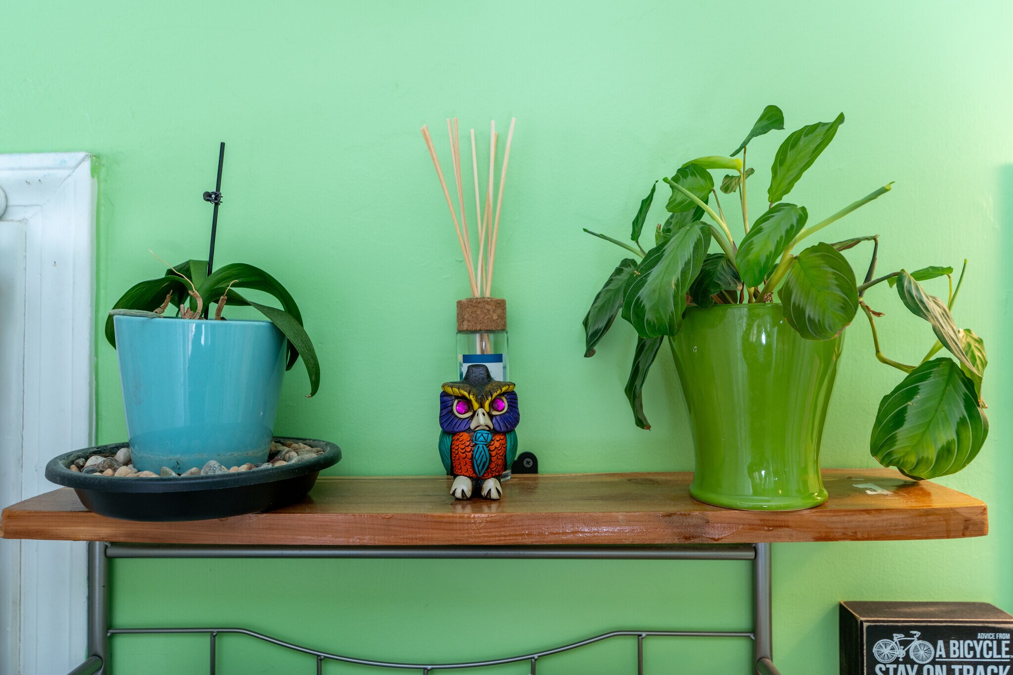 Building Photo - 1101 Kitt Pl