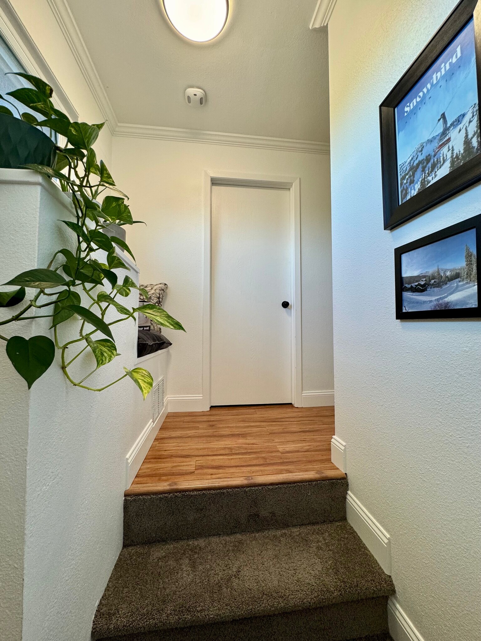 Building Photo - 540 S Forest St
