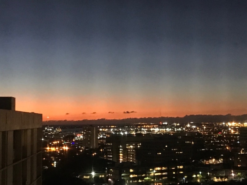 Building Photo - 2033 Nuuanu Ave