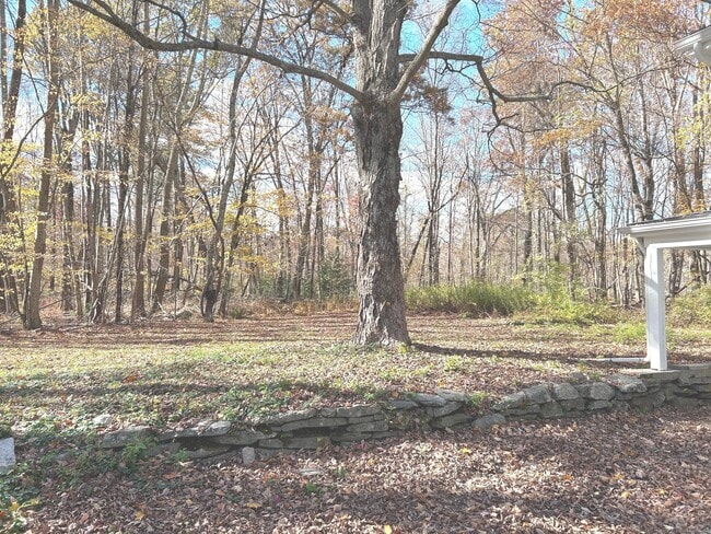 Building Photo - 56 Macht Rd