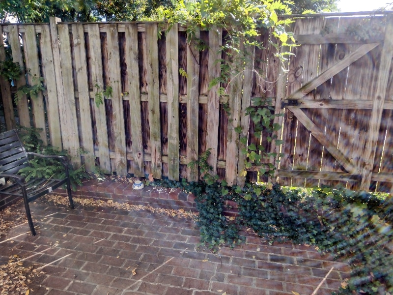 Building Photo - 617 N Henry St