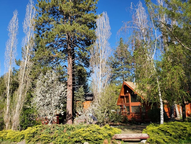Building Photo - 16013 Edgewood Way