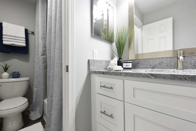 Granite counters in bathroom - 421 at Whitsett