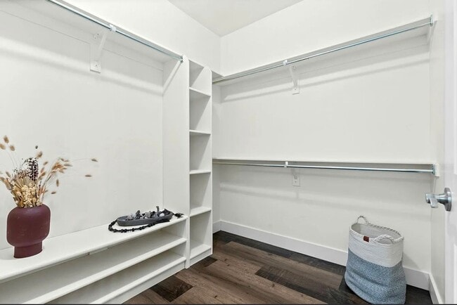 Building Photo - 2153 Springtime Dr