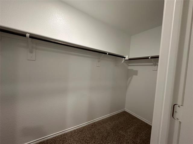 Building Photo - 2208 San Jacinto Wy