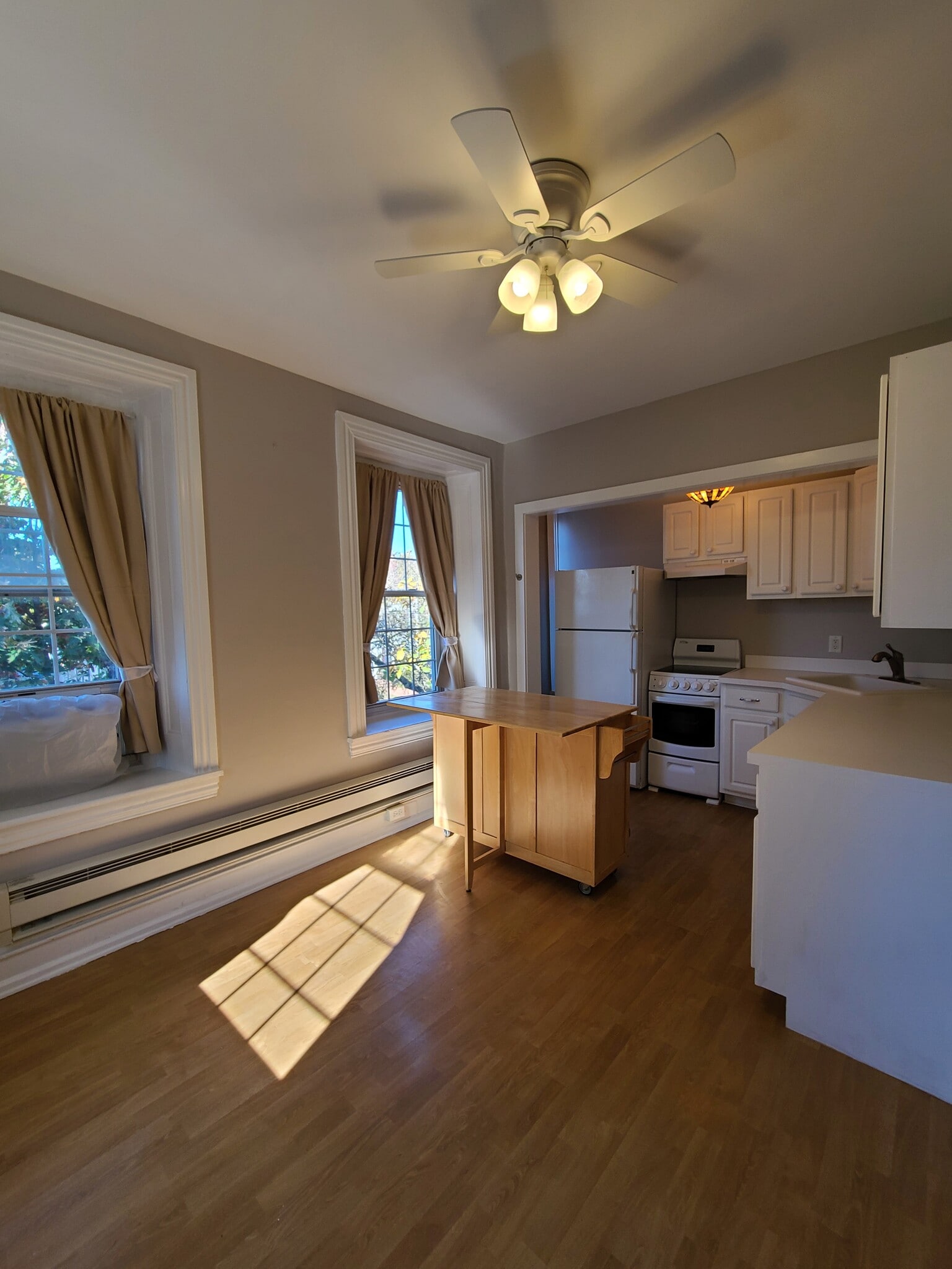 Kitchen - 443 Green Ln