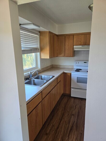 Kitchen sink/counters - 101 Spencer Creek Rd