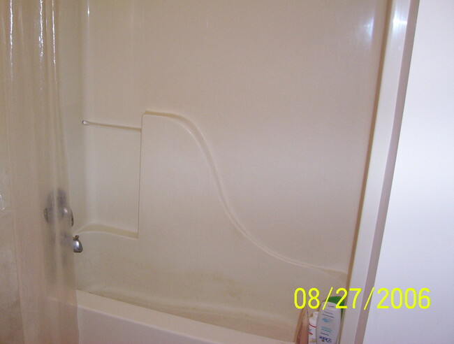 Hall Bathroom Shower/Tub Combo - 649 Royal View Dr