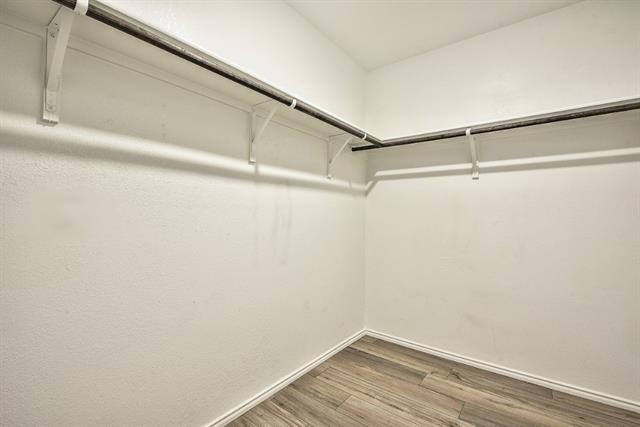 Building Photo - 444 Frio Pass Trl