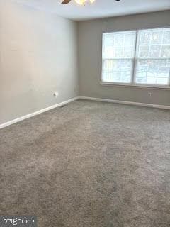 Building Photo - 4908 Tall Cedar Ct