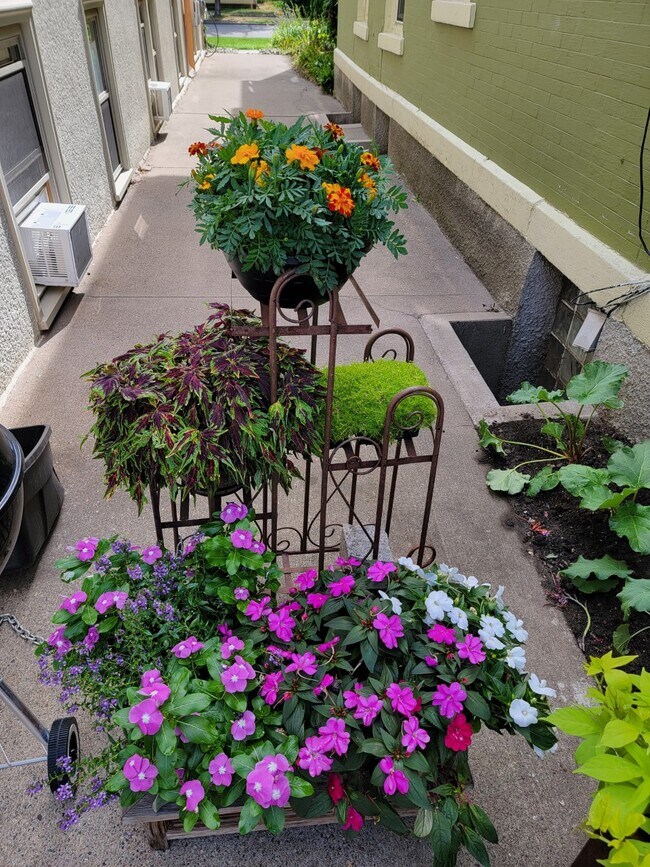 Gardener Friendly - 3140 Pleasant Ave S