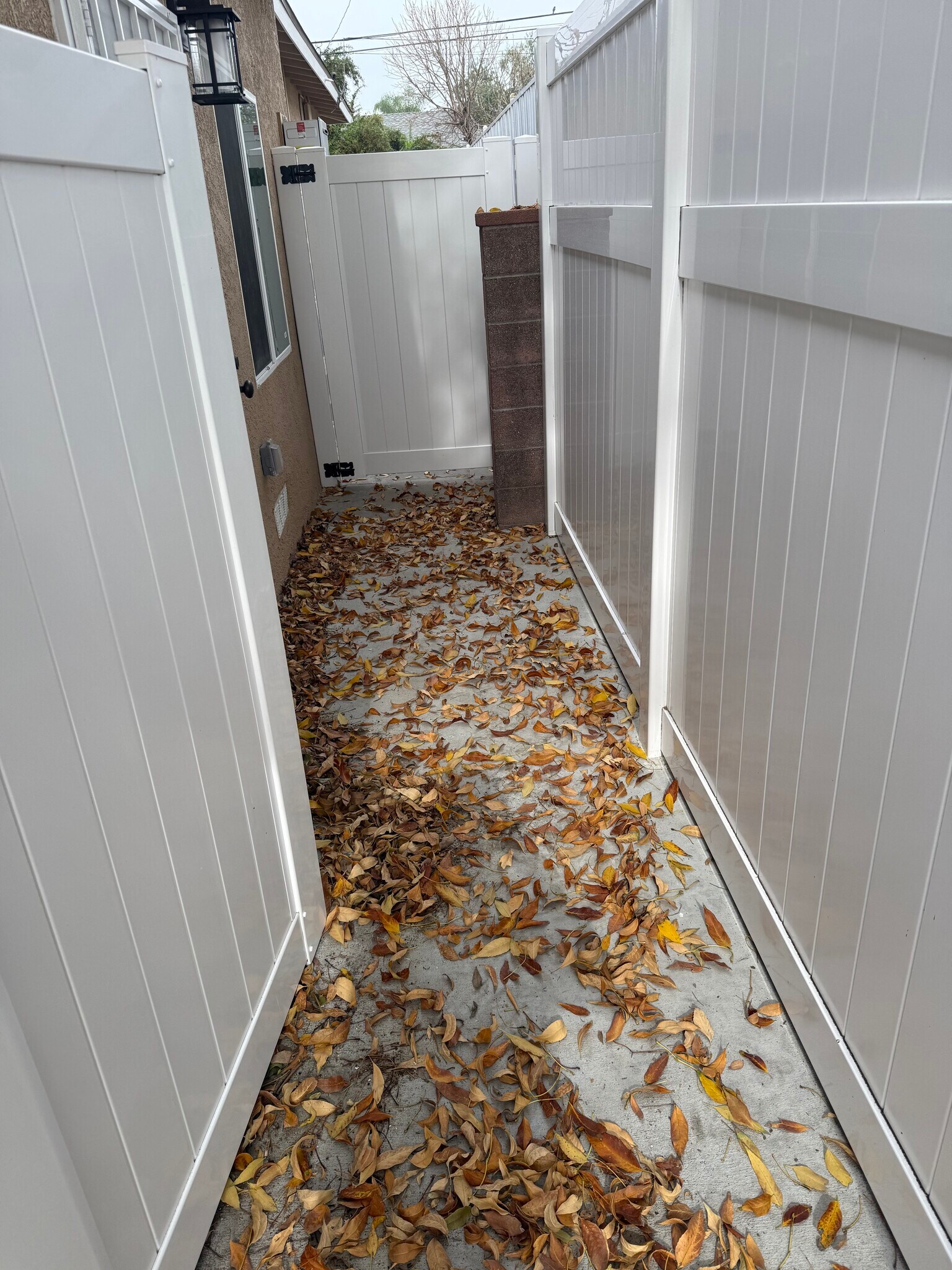 Building Photo - 10279 Priscilla St