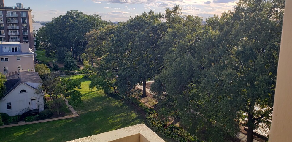 Behind the trees is Southwest Waterfront park - 490 M St SW