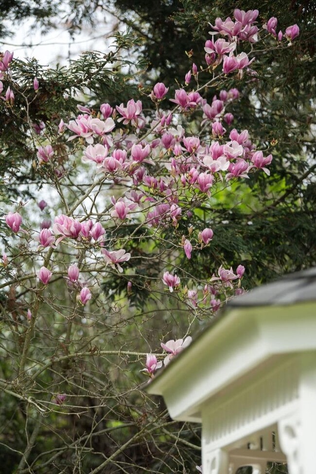 Building Photo - 10 Meadow Ln