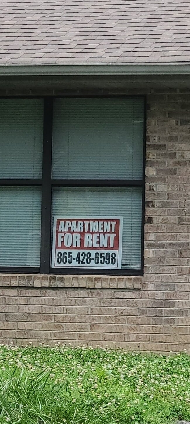 Building Photo - 929 Beverly Hills Dr