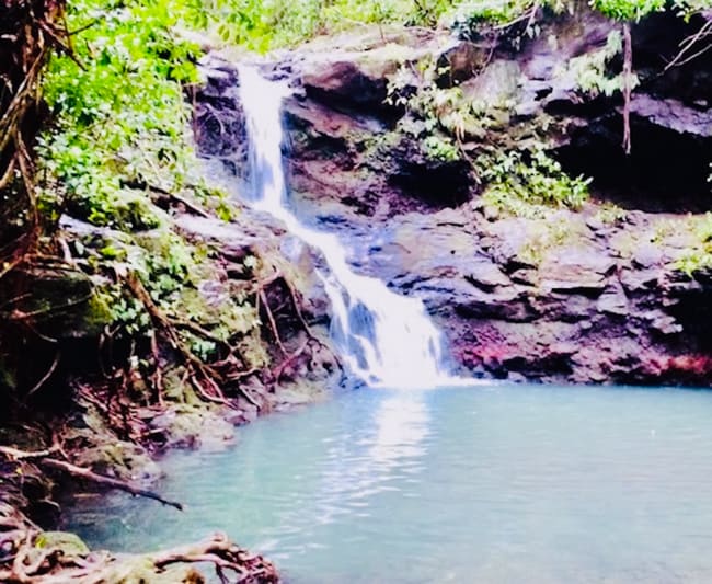 Building Photo - 99-1790-1790 Hoapono Pl