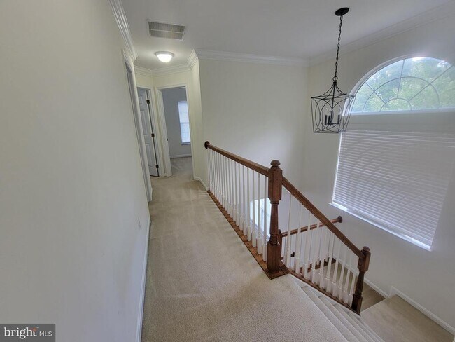 Building Photo - 20872 Ivymount Terrace