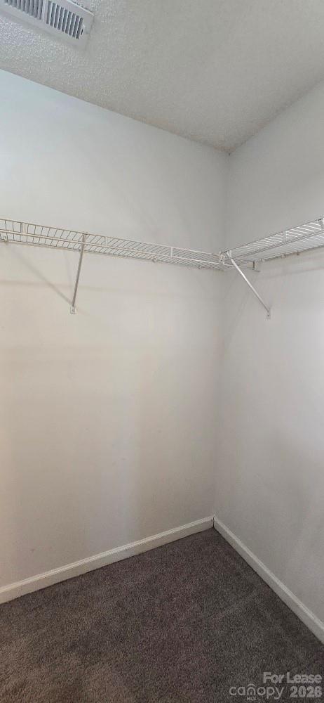 Building Photo - 10623 Campion Ct