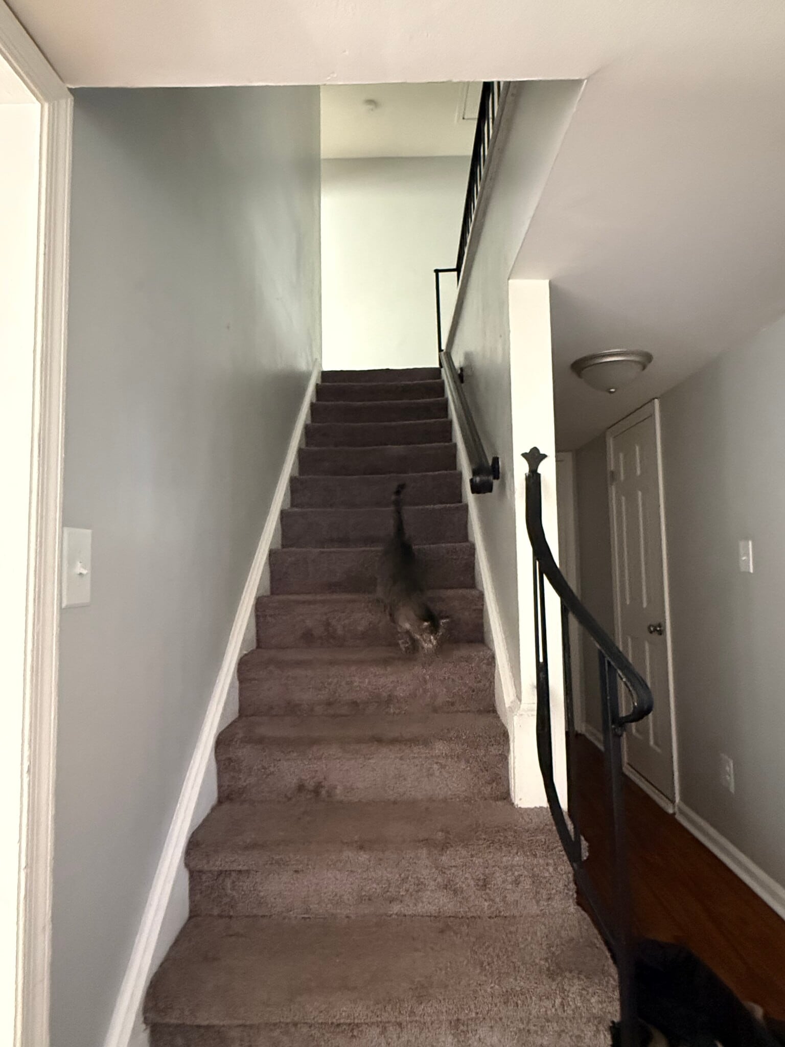 Building Photo - 14571 Old Courthouse Way