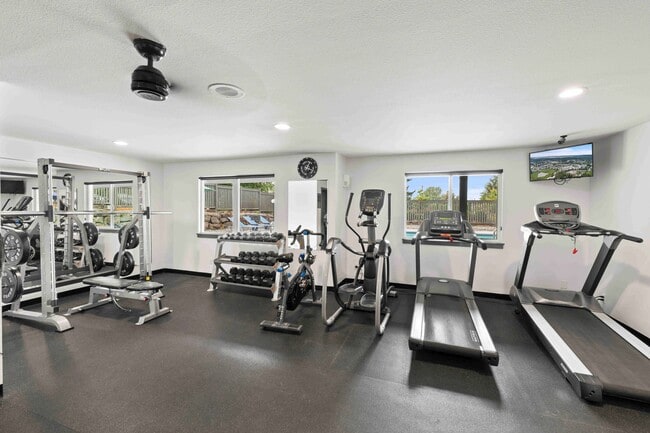 Strength Training & Cardio Equipment - Totem Lake Heights