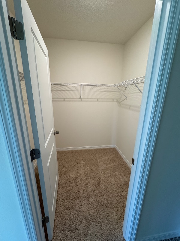 Building Photo - 1087 Morfontaine St