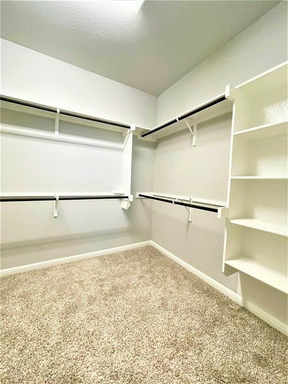 Building Photo - 113 Peruvian Ln