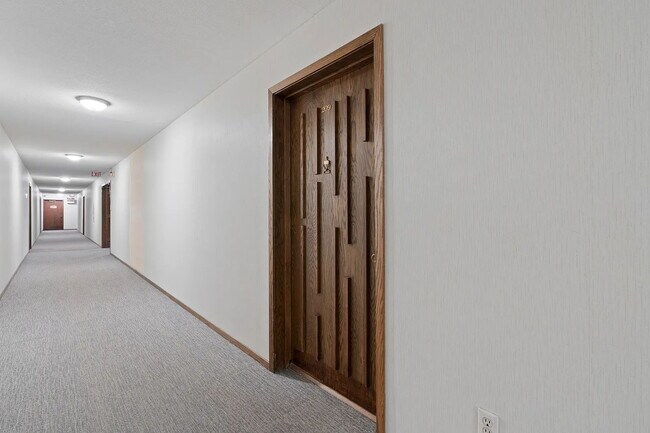 Building Photo - "Spacious 2-Bed Condo with Granite Elegance in Prime Minneapolis Location!"