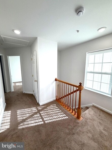 Building Photo - 107 Burck St