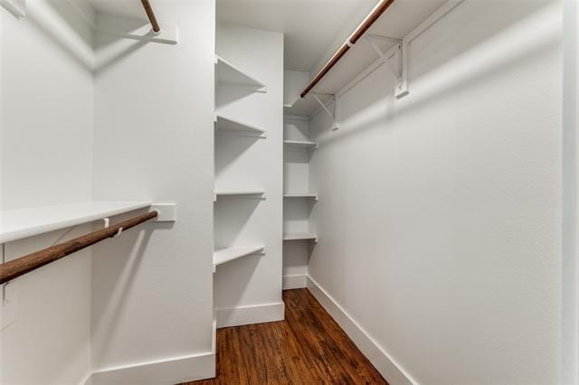 Building Photo - 4519 San Jacinto St