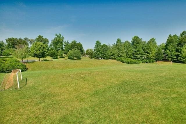 Building Photo - Bright Townhouse Available in Forest Lakes