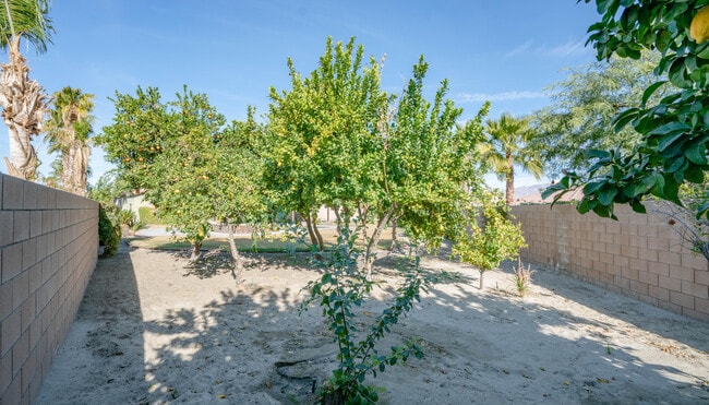 Building Photo - 79925 Corte Calero
