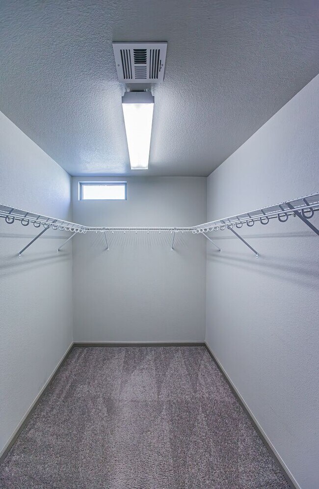 Building Photo - Rooftop Balcony