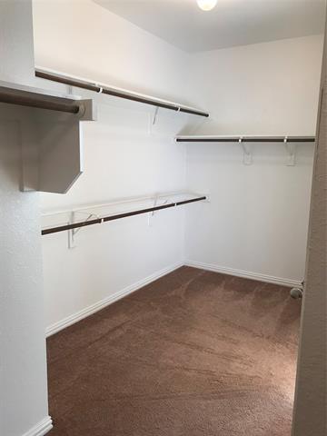 Building Photo - 843 Lake Forest Trl