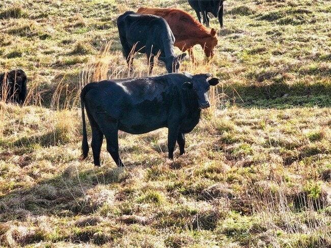 Building Photo - 8765 Daybreak St